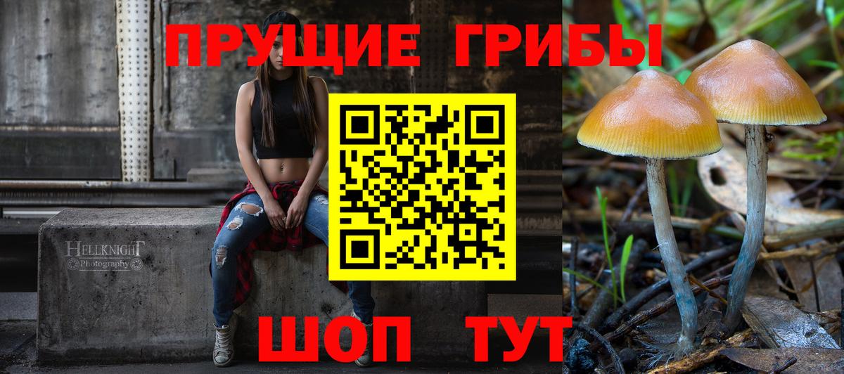 Галлюциногенные грибы прущие грибы  Вход с VPN  Псилоцибиновые грибы MAGIC MUSHROOMS  наркотики  Кингисепп 